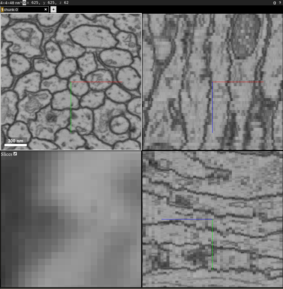 cremi_image