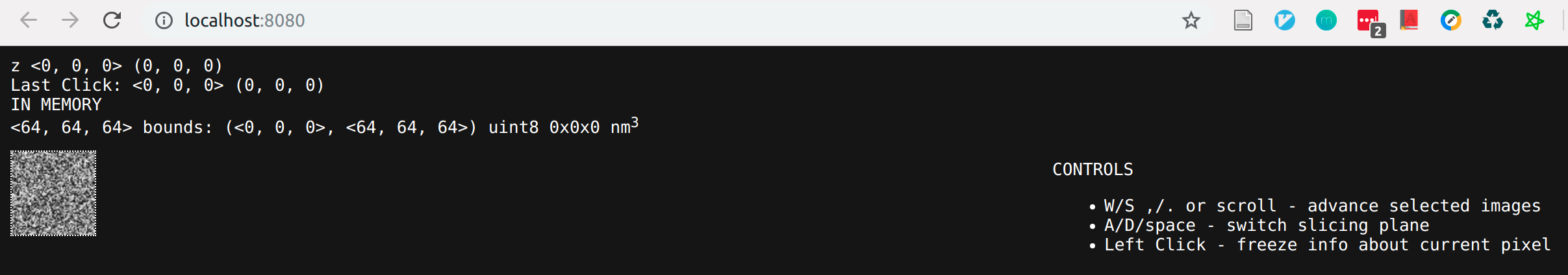 random_image_in_cloudvolume_viewer